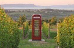50 Date Ideas in Annapolis Valley