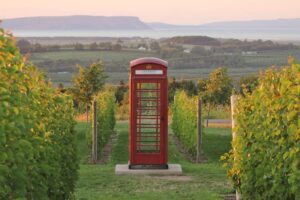 50 Date Ideas in Annapolis Valley