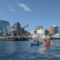 50 Fun Things to Do this Summer in Halifax