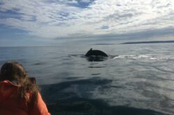 50 Outdoor Adventures During Summer in New Brunswick