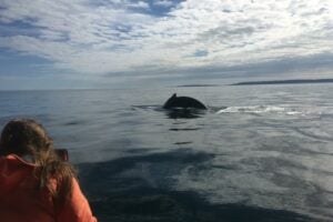 50 Outdoor Adventures During Summer in New Brunswick