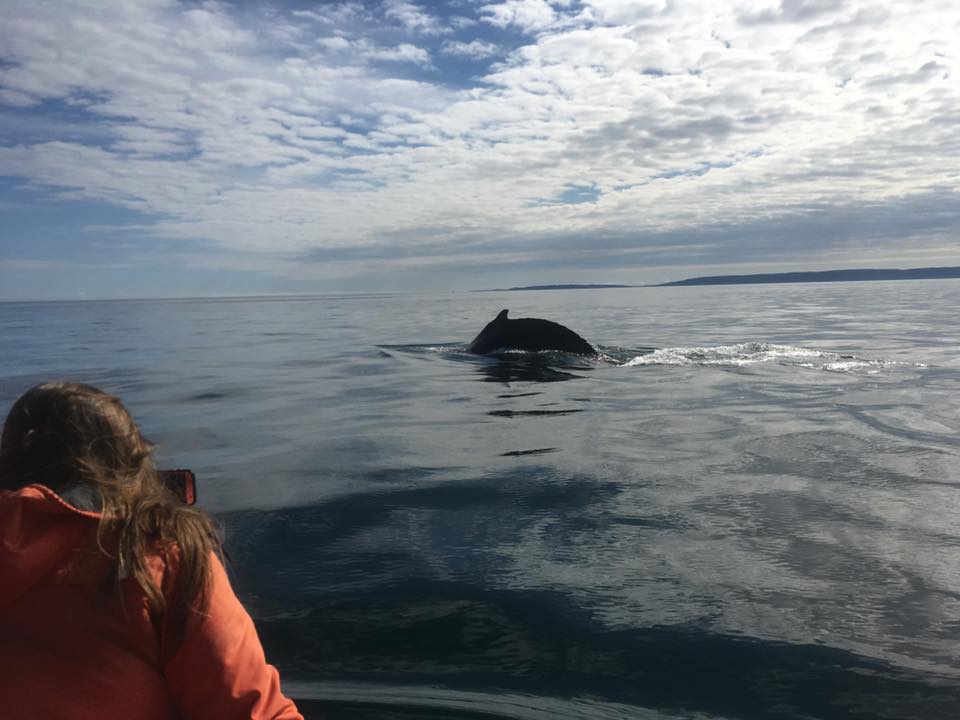 Fundy Coastal Drive / #ExploreNB / Tourism New Brunswick