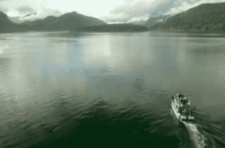 50 Outdoor Adventures in Vancouver Island