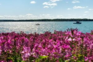 50 Things to Do This Summer in Barrie