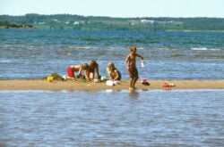 Places To Get Mother S Day Brunch Flowers And Gifts In Moncton To Do Canada