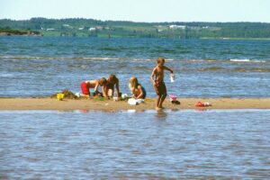 50 Things to Do this Summer in and around Moncton