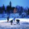 50 Things to Do in Manitoba During Winter