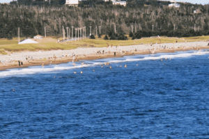 50 Things to Do on the Eastern Shore