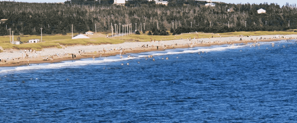50 Things to Do on the Eastern Shore