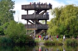 50 Things to Do this Summer in Windsor and Essex County
