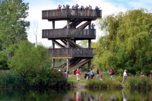 50 Things to Do this Summer in Windsor and Essex County