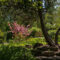 6 Gorgeous Calgary Gardens For Tranquil Summer Walk