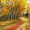 6 Reasons to Visit Fish Creek Provincial Park in Calgary This Fall