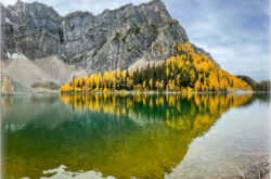 8 Fall Hikes in Banff National Park to See Golden Larches