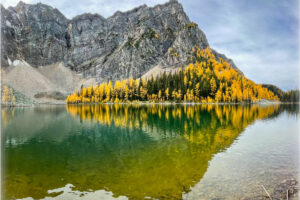 8 Fall Hikes in Banff National Park to See Golden Larches