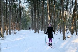 20 Things to Do Outdoors During Winter in Belleville and Hastings County