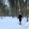 20 Things to Do Outdoors During Winter in Belleville and Hastings County