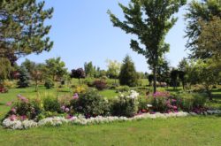 12 Gardens to Visit on Prince Edward Island