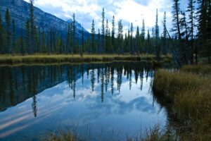 Thompson Creek Recreation Area: A Hidden Gem with Stunning Rockies Views and No Crowds Along David Thompson Highway