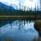 Thompson Creek Recreation Area: A Hidden Gem with Stunning Rockies Views and No Crowds Along David Thompson Highway