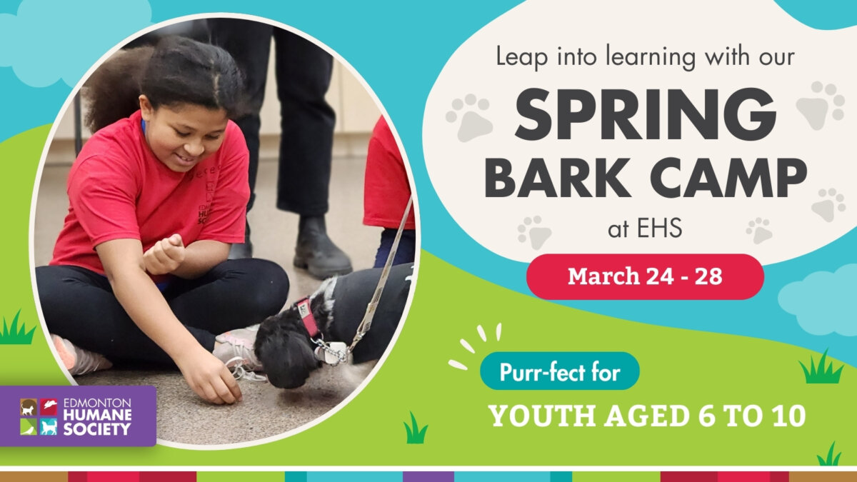 Edmonton Humane Society Spring Bark Camp