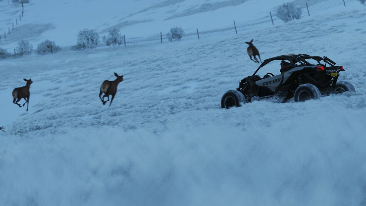 20 Outdoor Bucket List Winter Activities and Adventures in New Brunswick