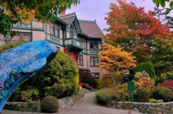 Tripadvisor Names the World's Best for 2026, and Four Canadian Spots Make the Rankings