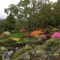 25 Outdoor Activities & Adventures In and Around Victoria