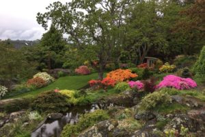 25 Outdoor Activities & Adventures In and Around Victoria