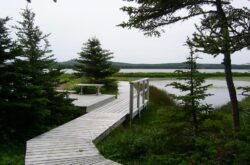 Adventures at Frenchman’s Cove Provincial Park: From Tranquil Waters to Rugged Trails, Discover Burin Peninsula’s Natural Beauty