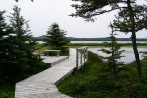 Adventures at Frenchman’s Cove Provincial Park: From Tranquil Waters to Rugged Trails, Discover Burin Peninsula’s Natural Beauty