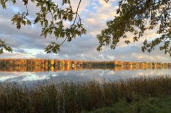 Adventures at Rideau River Provincial Park: Hike, Fish, Paddle, and Sleep Along Canada’s Oldest Canal System