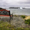 Adventures in Twillingate: Icebergs, Whales & Wild Island Trails