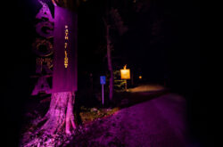 AGORA: Path of Light - Take a Gondola Ride to An Illuminated Trail at Blue Mountain