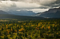 25 Bucket List Fall Activities & Adventures in Alberta