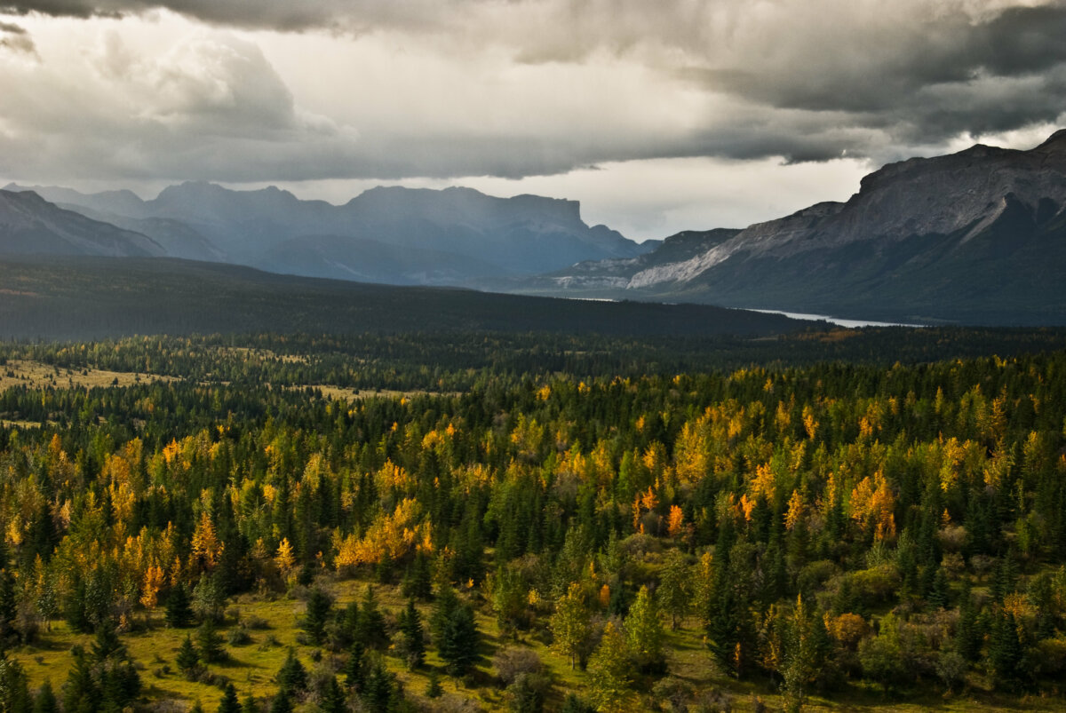 25 Bucket List Fall Activities & Adventures in Alberta