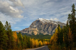 Small Towns in Alberta to Visit This Fall