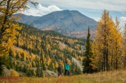 Places to Go Hiking During Fall in Alberta