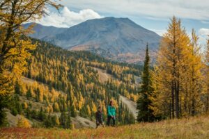 25 Places to go Hiking in Alberta