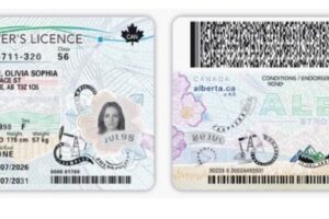 Alberta’s New One-Card ID System, With Citizenship Status, Rolls Out July 2