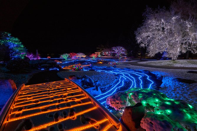 Holiday Lights in Alberta