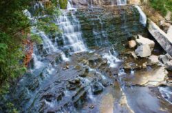 Fun Things to Do in and Around Hamilton During Fall Season