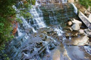 Fun Things to Do in and around Hamilton during Fall