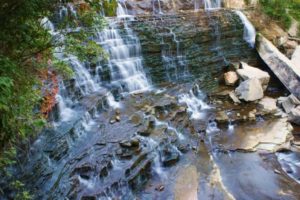 Fun Things to Do in and Around Hamilton during Fall