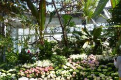 20 of the Best Gardens You Should Visit in Greater Toronto Area