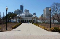 Allan Gardens Conservatory