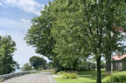 Summer Escape on Amherst Island: Scenic Drive and Tranquil Shorelines