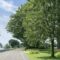 Summer Escape on Amherst Island: Scenic Drive and Tranquil Shorelines