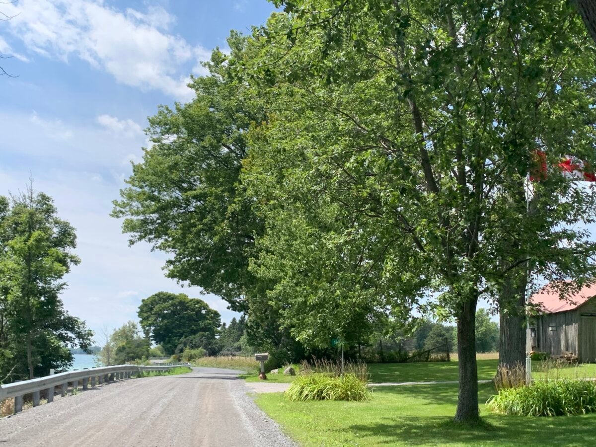 14 of the Best Islands to Visit in Ontario This Summer Activities