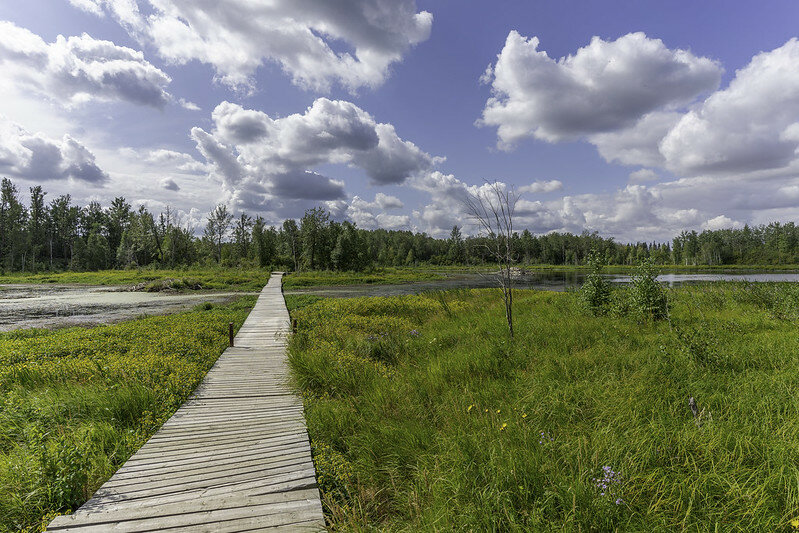 8 Ways to Experience the Best of Elk Island National Park in Summer